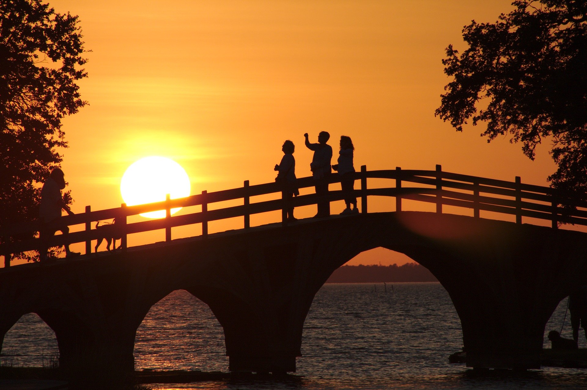 Construyendo puentes