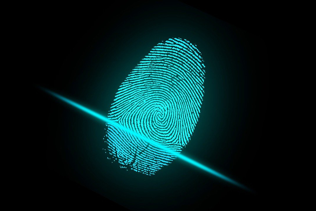 Investigación policial
